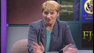 Perspectives on Probation and Pretrial Services