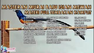 Masteran murai batu isian mewah materi full tembakan komplit #masteranmuraibatu