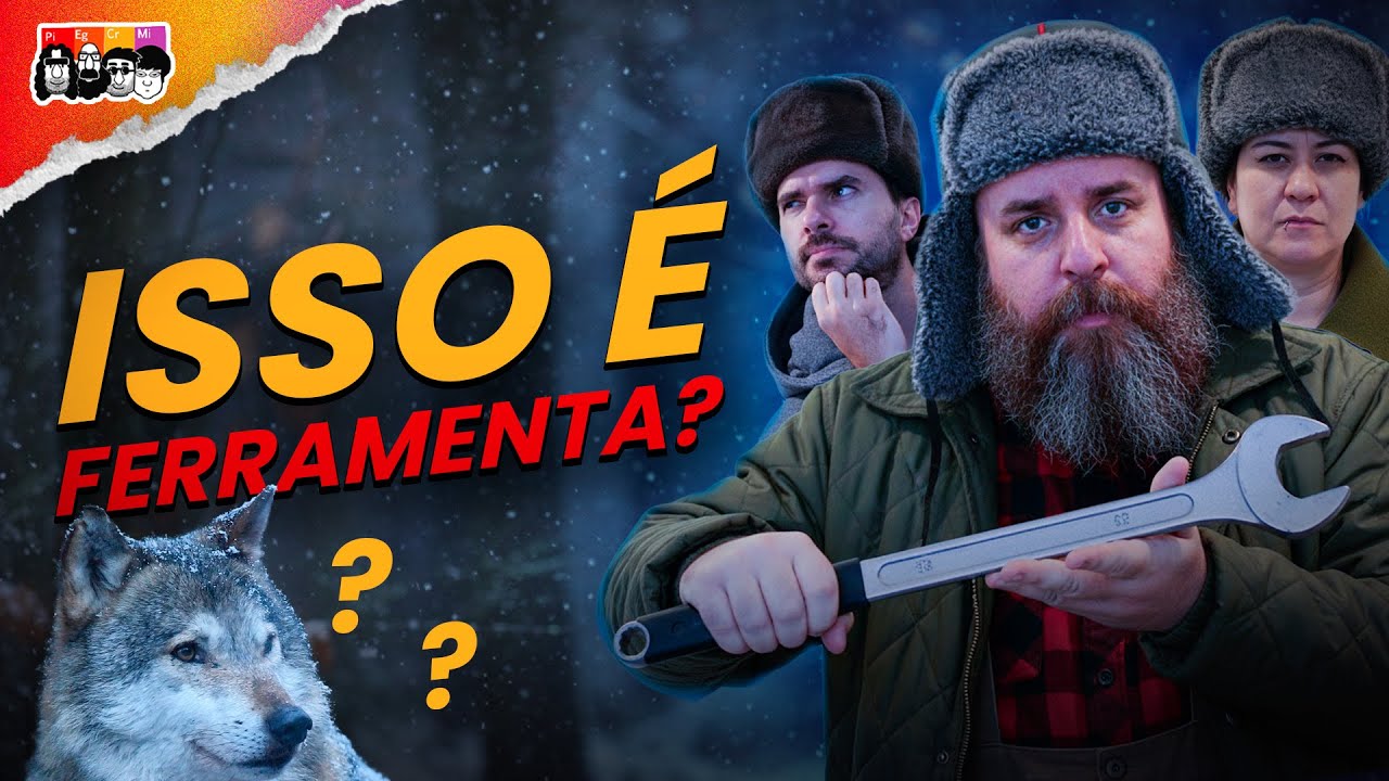 Animais usam ferramentas? O que a ciência tem observado?