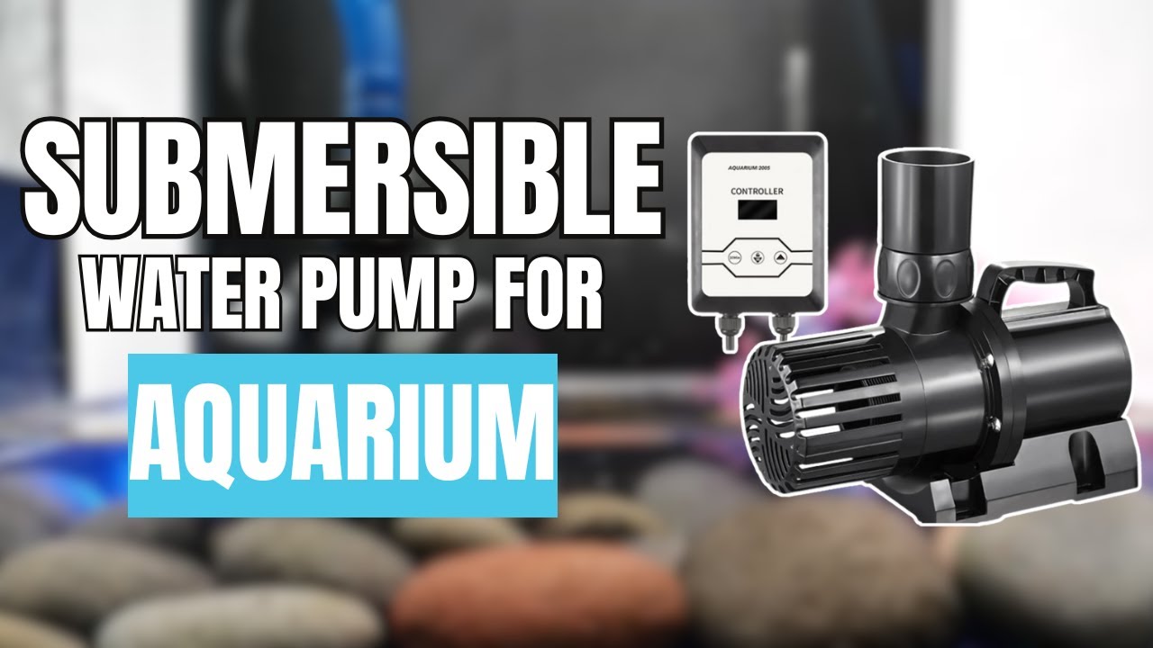 DCS Series Amphibious Pump: The Ultimate Solution for Tough Pumping Jobs