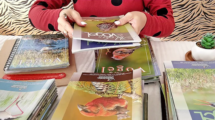 ASMR Bird Magazine Sorting • Writing Sounds • No Talking