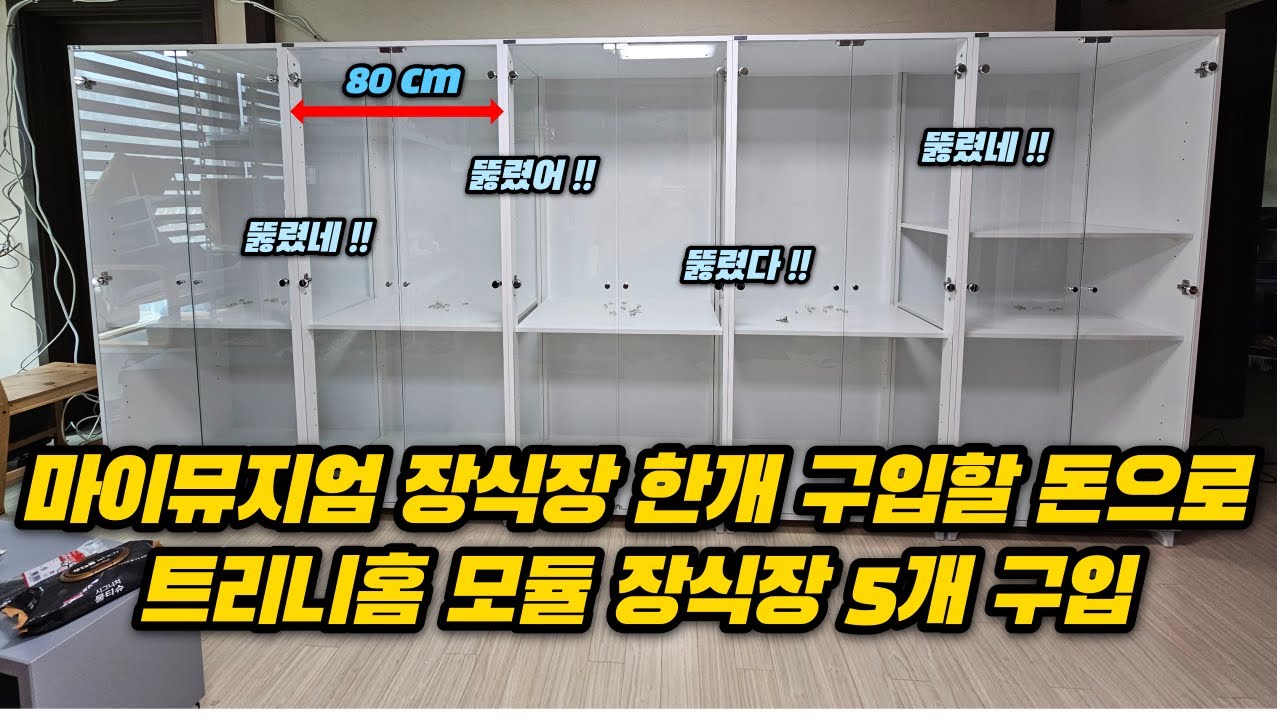 마이뮤지엄 장식장 하나 살 돈으로 트리니홈 모듈 장식장 5개 구입했어요 가성비 장식장 레고