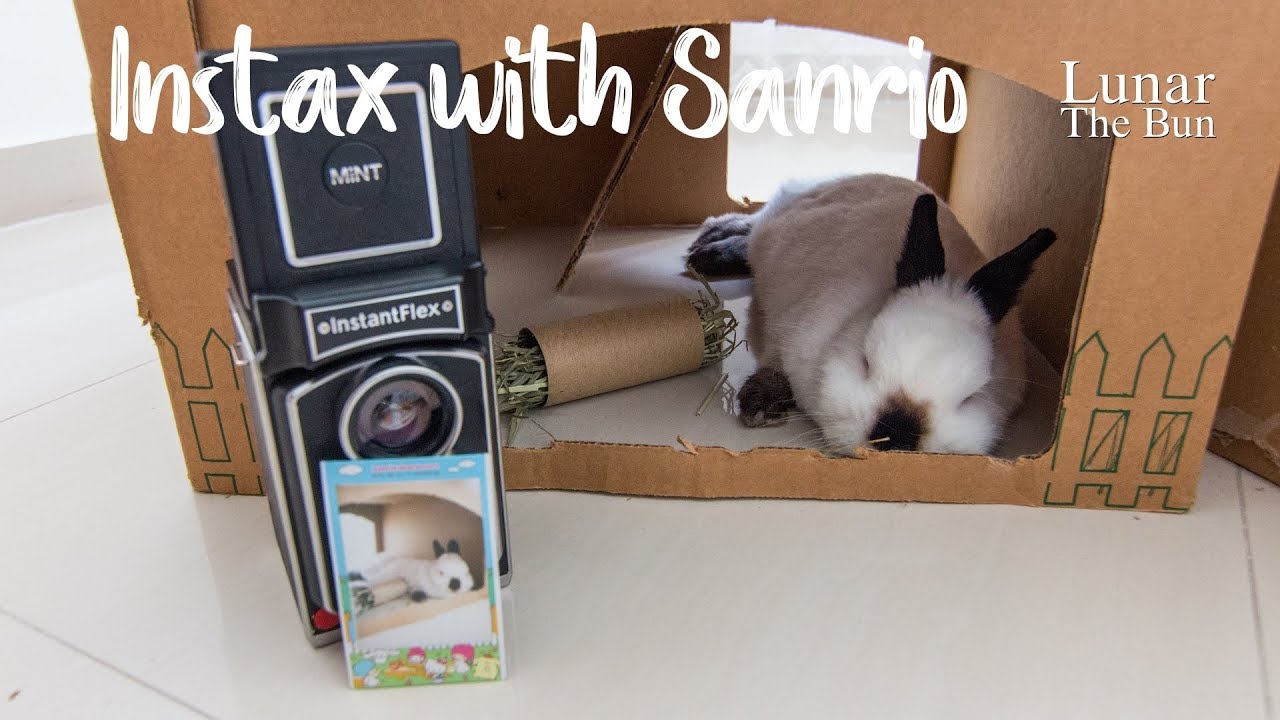 InstaFlex TL70 Photo with Sanrio Instax Frame