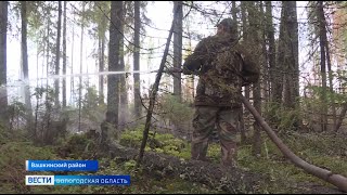 Лесной пожар успешно ликвидирован в Вашкинском районе