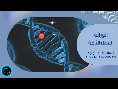 الوراثة الطبية _ السلسلة العشوائية (الفصل الثامن )