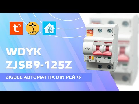 Video: Avtomatik 10A: cihaz, iş prinsipi, tətbiqi