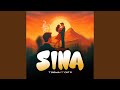 Sina Extended 