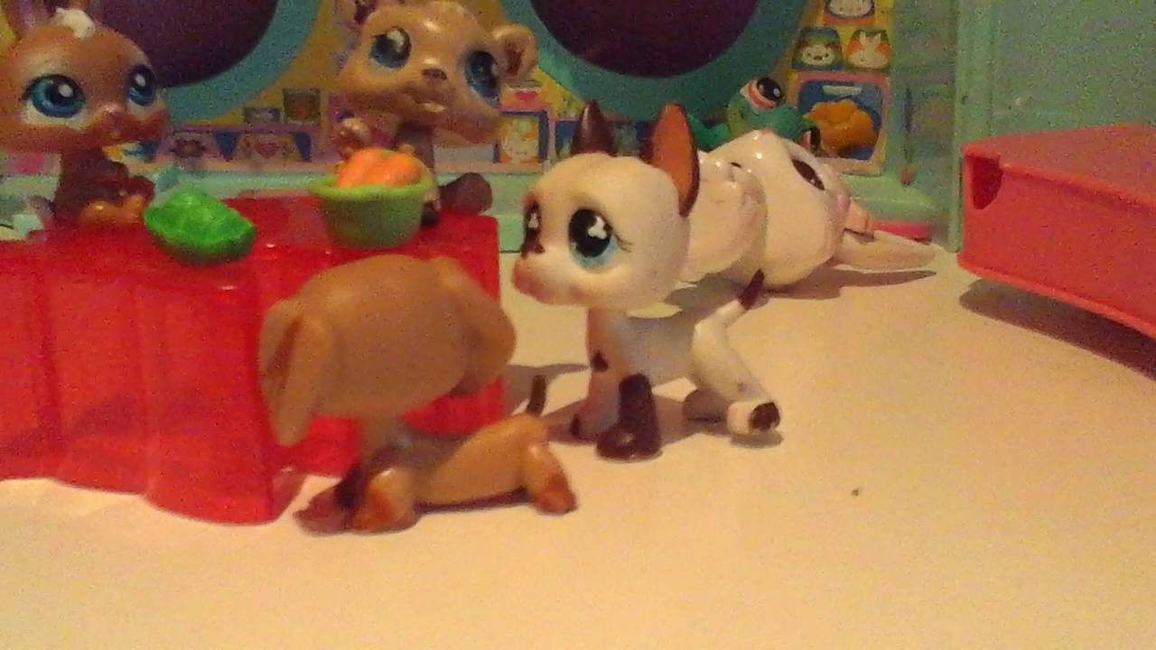 C'est un peu une vidéo de tout ça veut dire on fait plein des choses