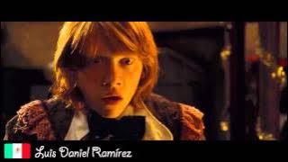 The Goblet of Fire - Ron Multilanguage
