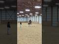 Too colddd #horse #horseriding #equestrian #riding #jumping