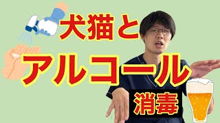 動物病院の現役獣医師が答える、犬猫に対するアルコール消毒やアルコールのカラダへの影響について(^^)　アルコール消毒って大丈夫なの？アルコールって飲ませても大丈夫なの？？