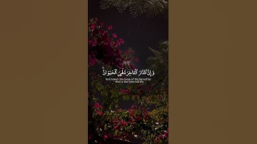 #قرآن #قران_كريم #راحة_نفسية #المصحف #اكسبلور #سورة #لايك #حالات_واتس #دعاء
