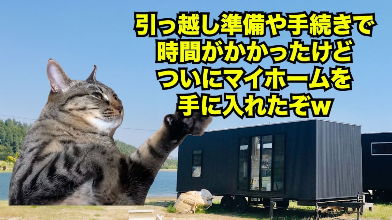 【コンテナハウス】激狭物件のリアルな実態！？143万円で買える悪夢のマイホーム #猫マニ #猫ミーム