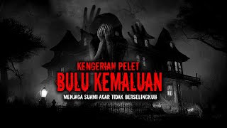 KENGERIAN PELET BULU KEMALUAN by omrasth