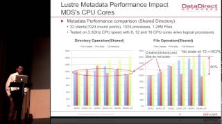 Lustre Metadata Fundamental Benchmark and Performance