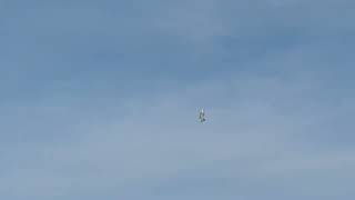 INAV VTOL TailSitter transition