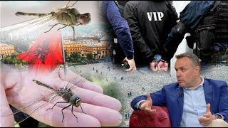 “Arrestim VIP këtë javë? Insektet-drone po pergjojnë në Tiranë.” Çudit eksperti kriminalist