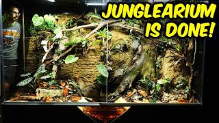 Download Lagu HET IS VOORBIJ! - Junglearium 2.0 VOLTOOID! MP3 Download Lagu HET IS VOORBIJ! - Junglearium 2.0 VOLTOOID! MP3