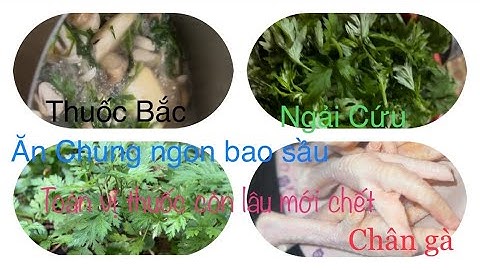 Lên luôn món Chân Gà Hầm Thuốc Bắc nhúng lá Ngải Cứu..Đánh bay 5lít rượu Toàn vị thuốc bổ