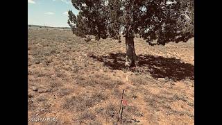 Residential at 28581 W Hondo Road, Seligman, AZ 86337 - For sale