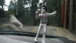 Tiny Elvis and the Big Trees