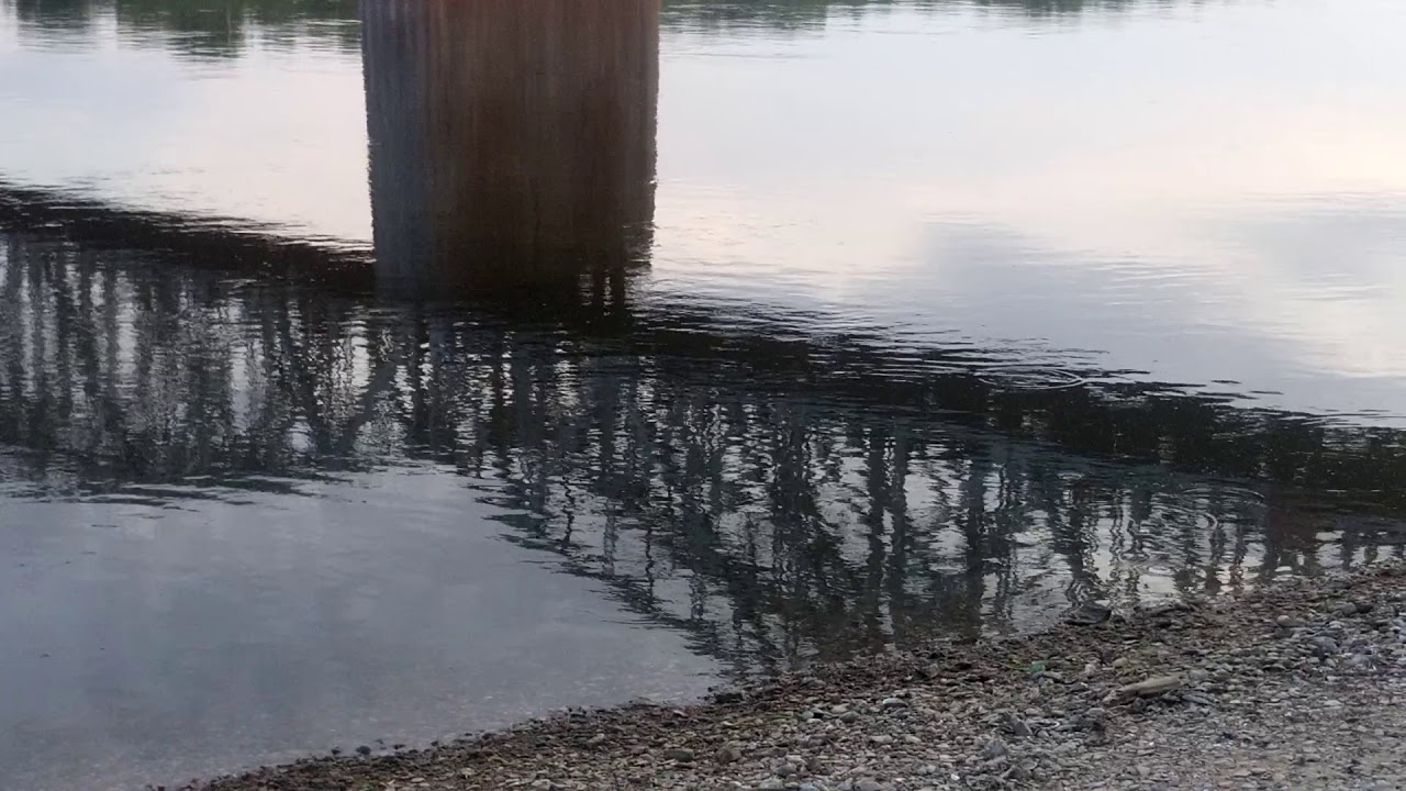 Жерех на оке