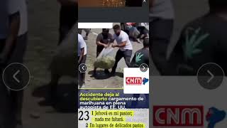 tatuajes canabis usa locura se Volca camión 🚒 🚌 lleno