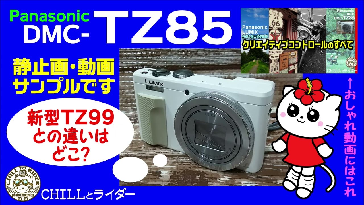 オールドコンデジ】 Panasonic LUMIX DMC-TZ85の写真と動画の参考です 