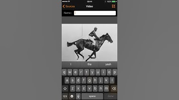 Reality Augmenter - Tutorials - Renaming a video source
