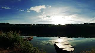 Relaxing music heals from diseases and blood vessels Forest view ???