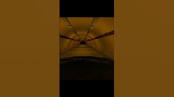 ... CHOOSE YOUR FAVOURITE CHARACTER IN ZOOCHOSIS OR ZOONOMALY NEXTBOTS IN PLAYGROUND MOD