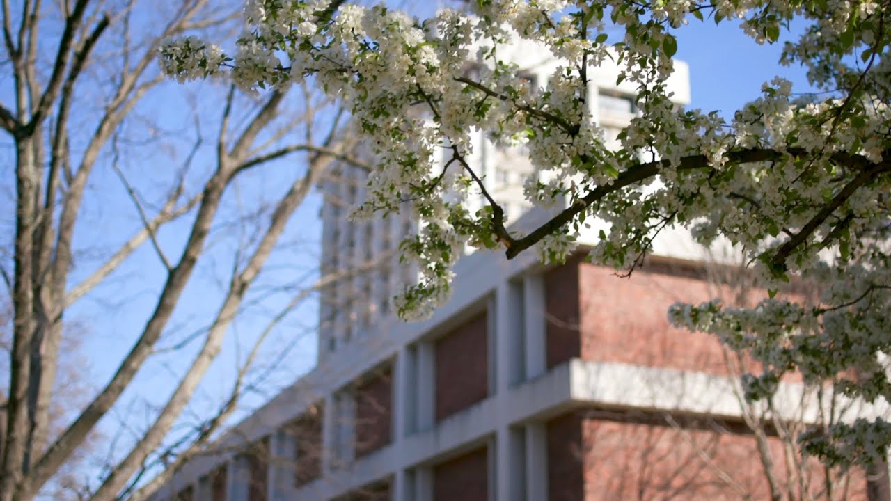UK Visitor Center Tour Academic Core YouTube
