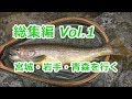 ﾌﾗｲﾌｨｯｼﾝｸﾞ / みちのく釣りの旅~総集編 vol.1~(4K) fly fishing tohoku-jp