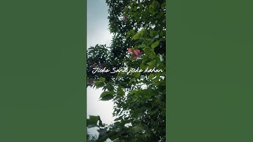 Bin tere 🍃#avicineamtics#avicineamtics2003#nature #cinematicvideo #status #lovestatus #song #viral