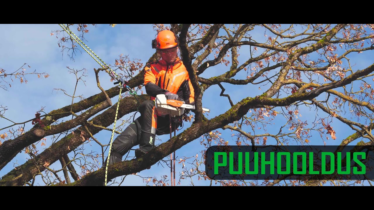 Puuhooldus Tartus Puude hooldus Tartus Vikatimees arborist oksade purustamine Treecare in Estonia