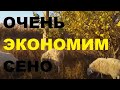 Кормление коз и овец. Как сэкономить сено в межсезонье.