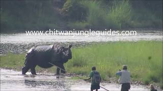 Rhino Encounter in Canoeing safari in Chitwan National Park