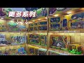 Plants vs zombies shi ji yi gao shenzhen international toy fair ding dong invitation letter
