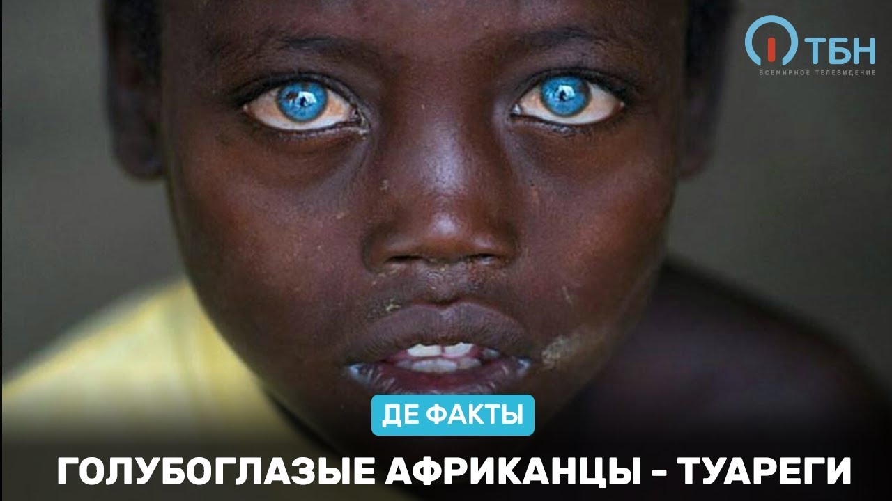 Туареги с голубыми глазами Туареги с голубыми глазами