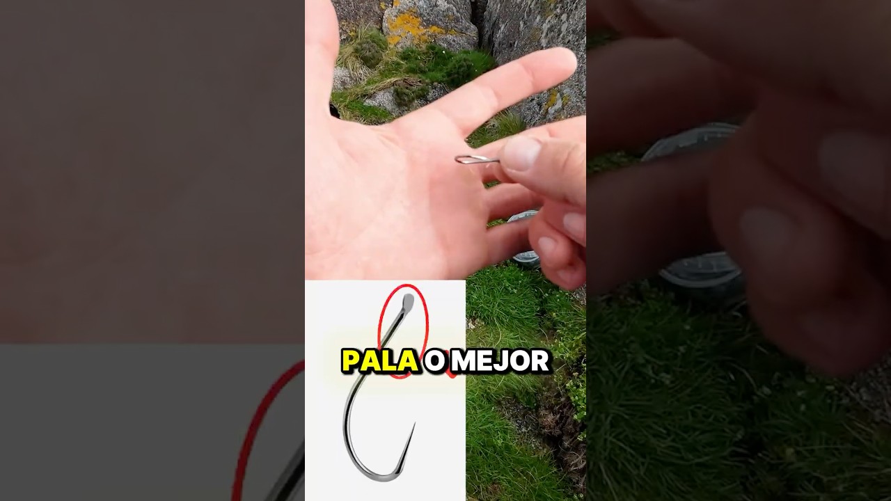 ¿Mejor ANZUELO DE ANILLA o ANZUELO DE PALA?