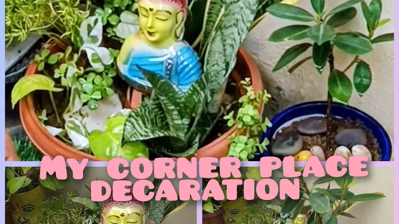మా ఇంటి ముందు minature garden # Gardening vlogs #  ila set chesukuna