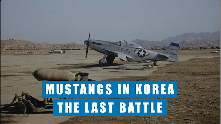 THE LAST BATTLE: F-51D Mustangs In Korea