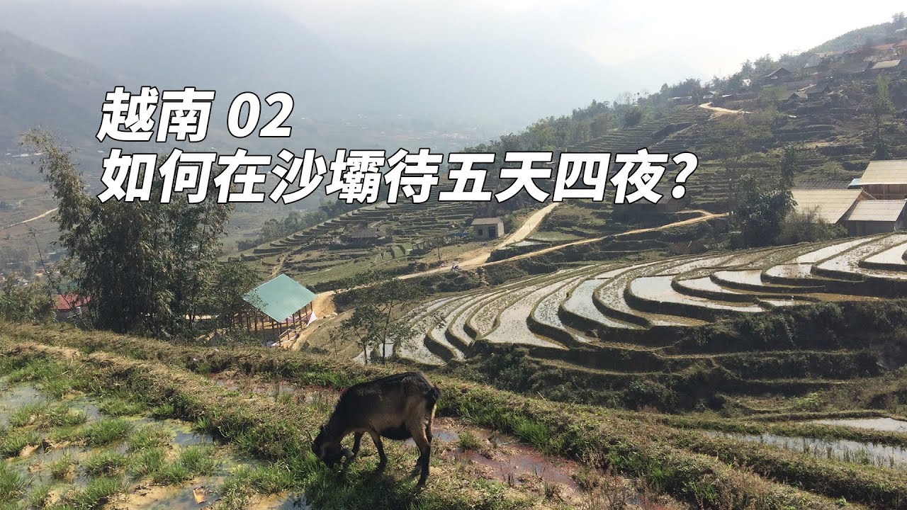 【越南】5 Things to Do in Sapa | 如何在沙壩待五天四夜? (Eng Sub) - VIETNAM #2