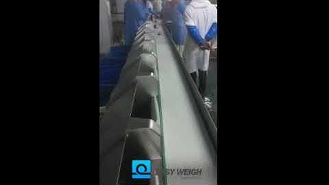 Weight Grader  Fish grading automatically
