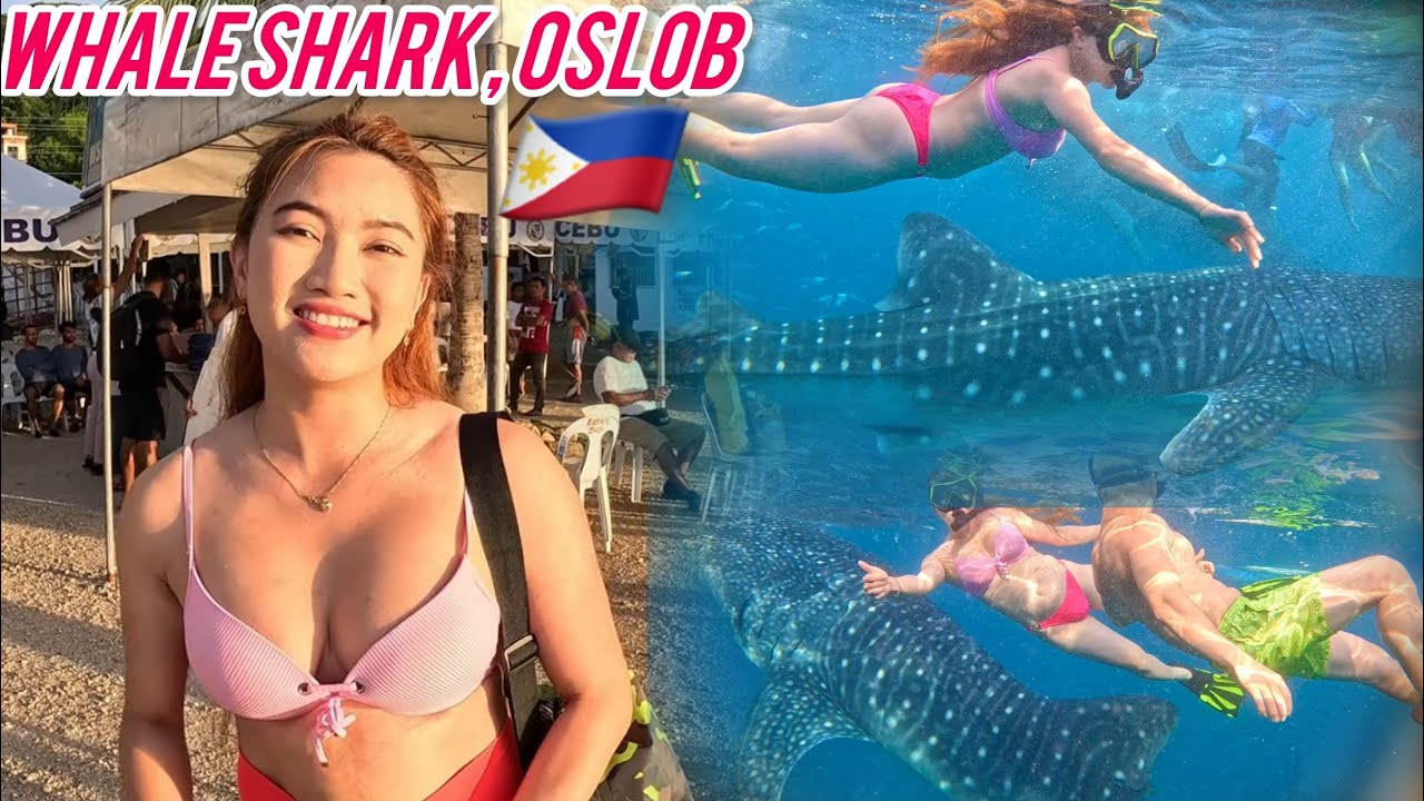 🇵🇭 Самостоятельный сноркелинг и наблюдение за китовыми акулами в Ослобе - Путеводитель по Ослобу