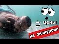 Снимать нельзя это Шарджа /Цены на экскурсии в ОАЭ на пляже / Эмират Шарджа