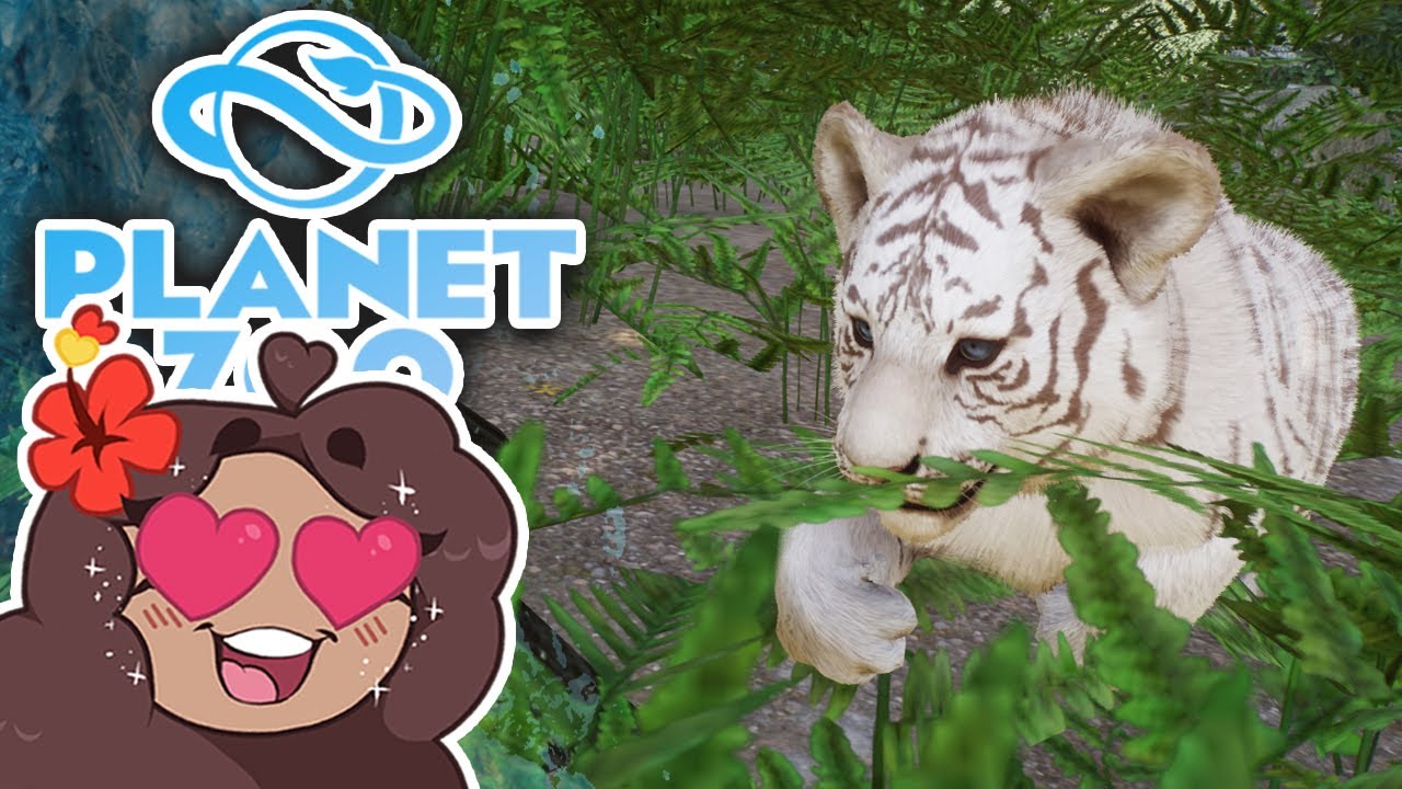 Searching For Siberian Tiger Cubs Planet Zoo Ice Ice Outpost 47 Youtube