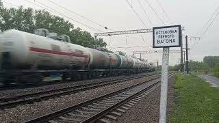ВЛ80с-1191 с грузовым поездом на перегоне Мичуринск-Воронежский - Кочетовка под дождиком