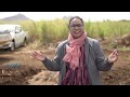 Mati ke Mol - Petit Camp CCS Block Rehabilitation Project Part 2