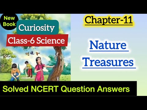 Class 6 Science | Nature Treasures | Chapter 11 Solved NCERT Question ...